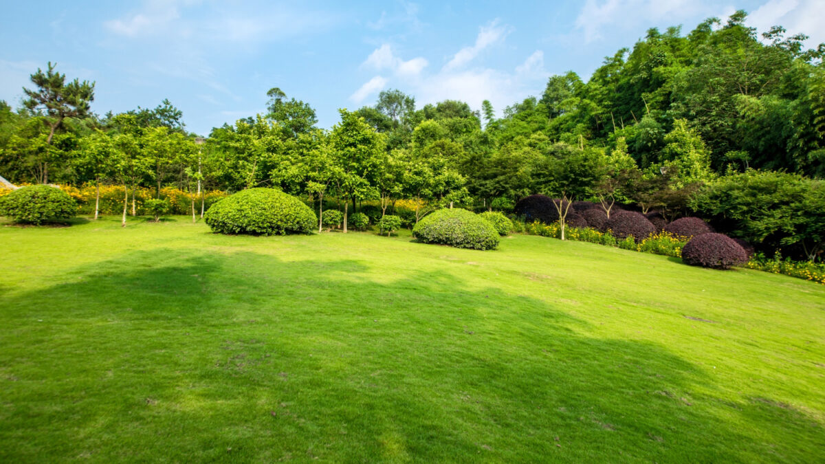 jardín