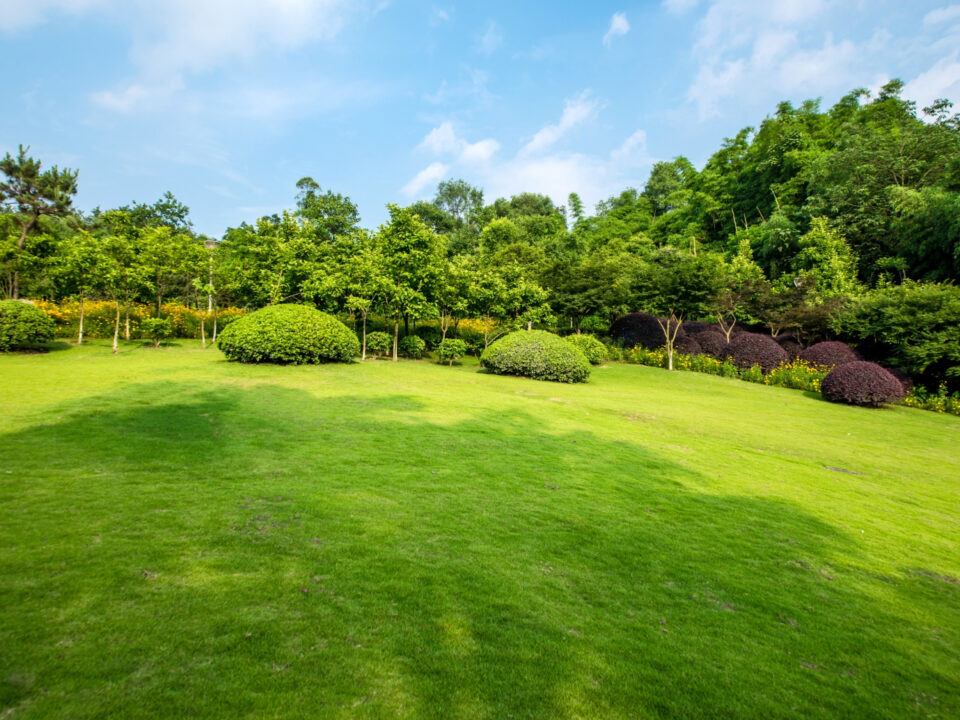 jardín